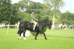 SBM_44864