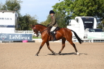 SBM_17518