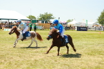 SBM_17202