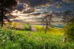 z2189 Evening Light, Brading Down