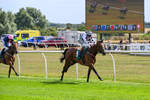 260826-Race 2-Lady Gormire-2367