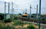 28th June 1996