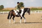 SBM_06819