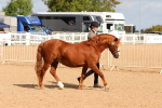 SBM_10993