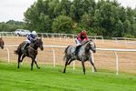 170826-Race 1-Stellarmasterpiece-8830