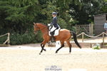 Class 2 Preliminary GOLD portfolio