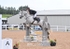 BPP_0305