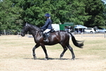 WJ7_2934