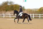 SBM_009233
