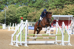 Class 9: Senior British Novice/90cm open portfolio