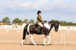 SBM_13452