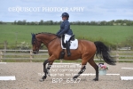 BPP_6527