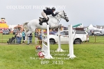 BPP_7433