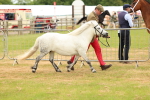 SBM_04413
