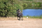 WJ6_6750