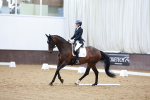 SBM_003627