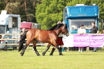 SBM_00779