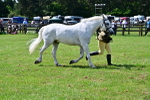 SBM_03857