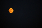 THE MOON