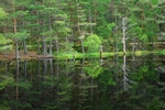 Uath Lochans, Highland