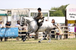 SBM_15157