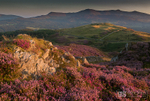 September colour, Cadair Idris