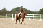 SBM_017393