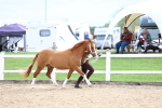 SBM_05830