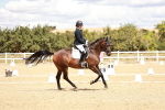 SBM_009915