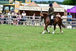 SBM_07943