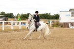 SBM_004582