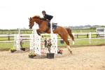 SBM_007653