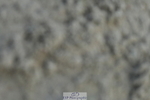 230314A-114007-00305