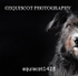 equiscot1428