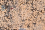 231028A-110114-00663