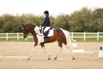 SBM_006914