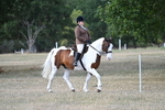 WJ7_6833