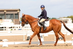 SBM_02628