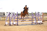 SBM_001541