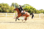 SBM_002613