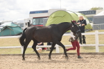 SBM_04923