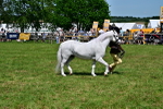 SBM_07813