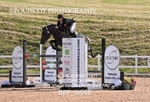 BPP_6646