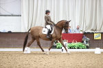 SBM_019565