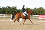 SBM_007526