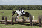 BVHT 140517  IXC -294
