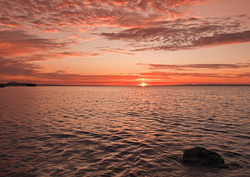 East Lothian portfolio