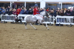 SBM_004033