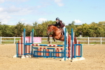 SBM_000553