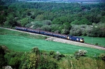 11th May 2008
